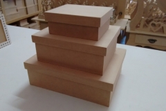 13524399_1047685131982899_769146705666365293_n